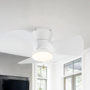 Parrot Uncle 31-Inch Mazon Modern DC Motor Flush Mount Reversible Ceiling Fan with LED Lighting and Remote Control