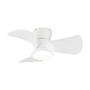 Parrot Uncle 31-Inch Mazon Modern DC Motor Flush Mount Reversible Ceiling Fan with LED Lighting and Remote Control