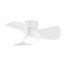 Parrot Uncle 31-Inch Mazon Modern DC Motor Flush Mount Reversible Ceiling Fan with LED Lighting and Remote Control
