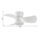 Parrot Uncle 31-Inch Mazon Modern DC Motor Flush Mount Reversible Ceiling Fan with LED Lighting and Remote Control