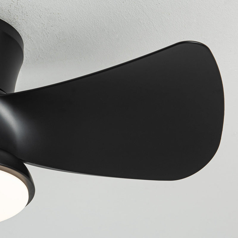 Parrot Uncle 31-Inch Mazon Modern DC Motor Flush Mount Reversible Ceiling Fan with LED Lighting and Remote Control