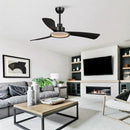 Parrot Uncle 52-Inch Bohemian Industrial DC Motor Downrod Mount Reversible Ceiling Fan with Lighting and Remote Control (F6385BK110V)
