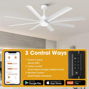 Parrot Uncle 72-Inch Daugava Modern Downrod Mount Smart Fan with LED Light