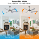 Parrot Uncle 60-Inch Lucknow Modern Ceiling Fan with Lighting and Remote Control (F8253110V)