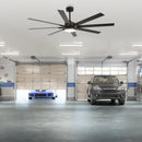 Parrot Uncle 65-Inch Teresa Modern Double-Sided Blades Ceiling Fan with Remote Control and LED Light