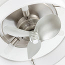 Parrot Uncle Vaczon 13-Inch Modern Flush Mount Ceiling Fan (F8293110V)