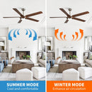 Parrot Uncle 65-Inch Fury Farmhouse DC Motor Downrod Mount Ceiling Fan with Lighting and Remote Control (F8305110V)