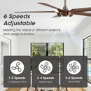 Parrot Uncle 65-Inch Fury Farmhouse DC Motor Downrod Mount Ceiling Fan with Lighting and Remote Control (F8305110V)