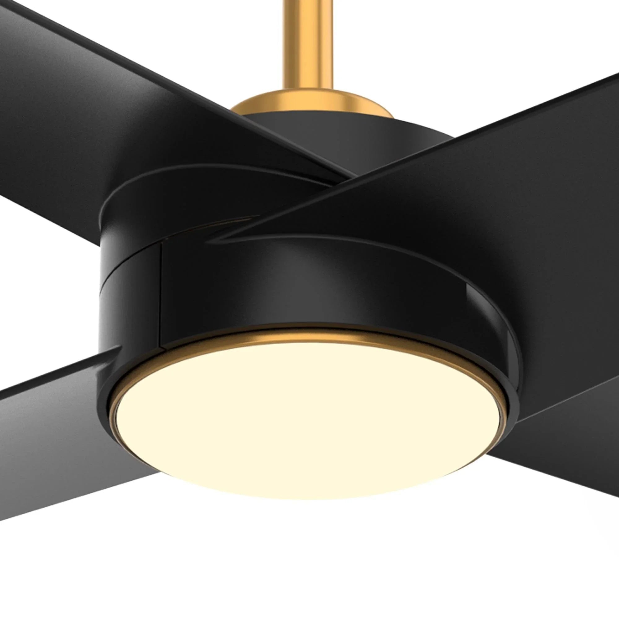 Parrot Uncle 60-Inch Parvez Modern DC Motor Downrod Mount Reversible Ceiling Fan with Lighting and Remote Control (F8313110V)