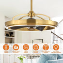 Parrot Uncle 27-Inch Arthur Industrial DC Motor Downrod Mount Ceiling Fan with Lighting and Remote Control (F8315110V)