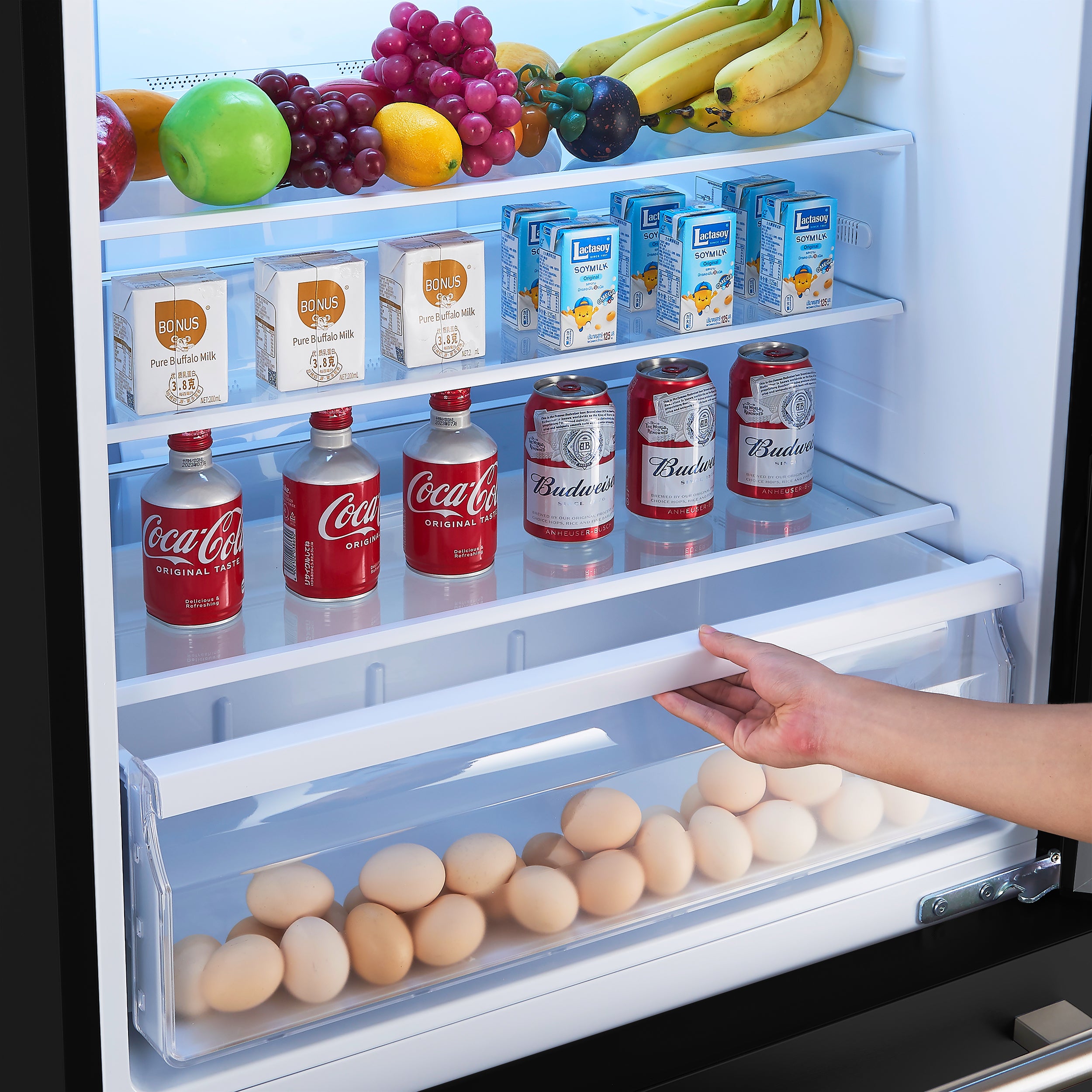 Refrigerator interior shelf with eggs, drinks, and packaged food in bins