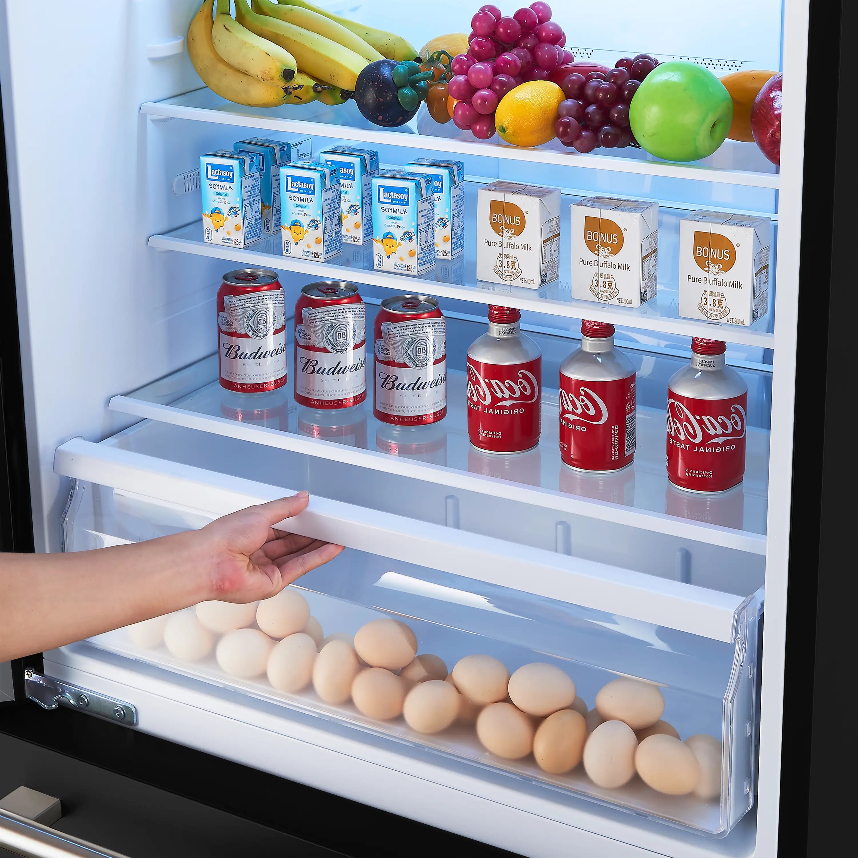 Refrigerator shelf with eggs in a clear bin and product containers