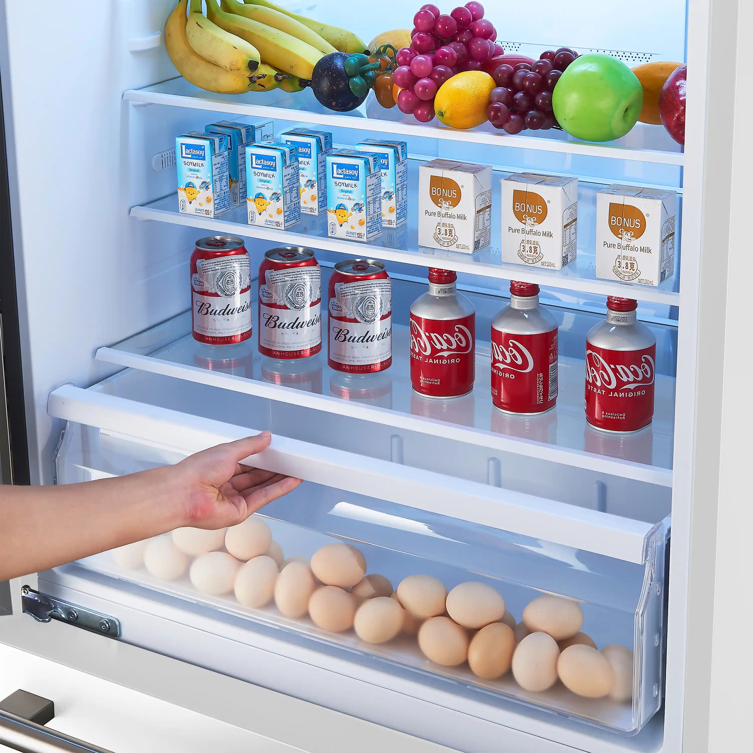 Refrigerator interior with egg tray in slide-out shelf and hand reaching