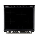 Forno Leonardo Espresso 30-Inch Induction Range in Black with Stainless Steel Trim (FFSIN0982-30BLK)