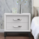 Parrot Uncle Furniture of America Lucien 23" Modern Wood Nightstand with 2 Drawers