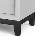 Parrot Uncle Furniture of America Lucien 23" Modern Wood Nightstand with 2 Drawers