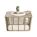 Parrot Uncle Johari Contemporary 3-Piece Outdoor Rattan Conversation Set (FM80016NT-3PC-PU)