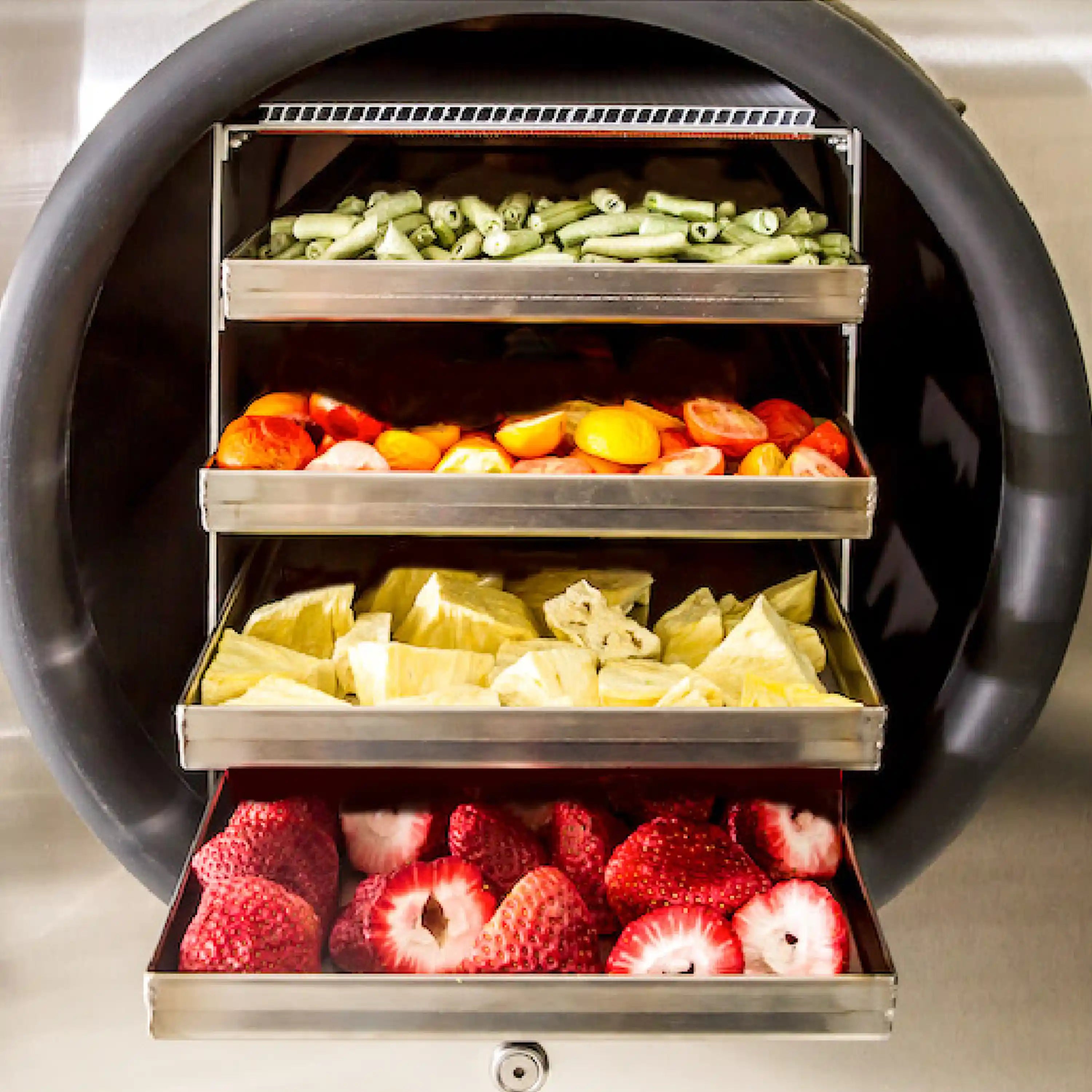 Small home freeze dryer chamber with open stainless trays of mixed freeze-dried foods