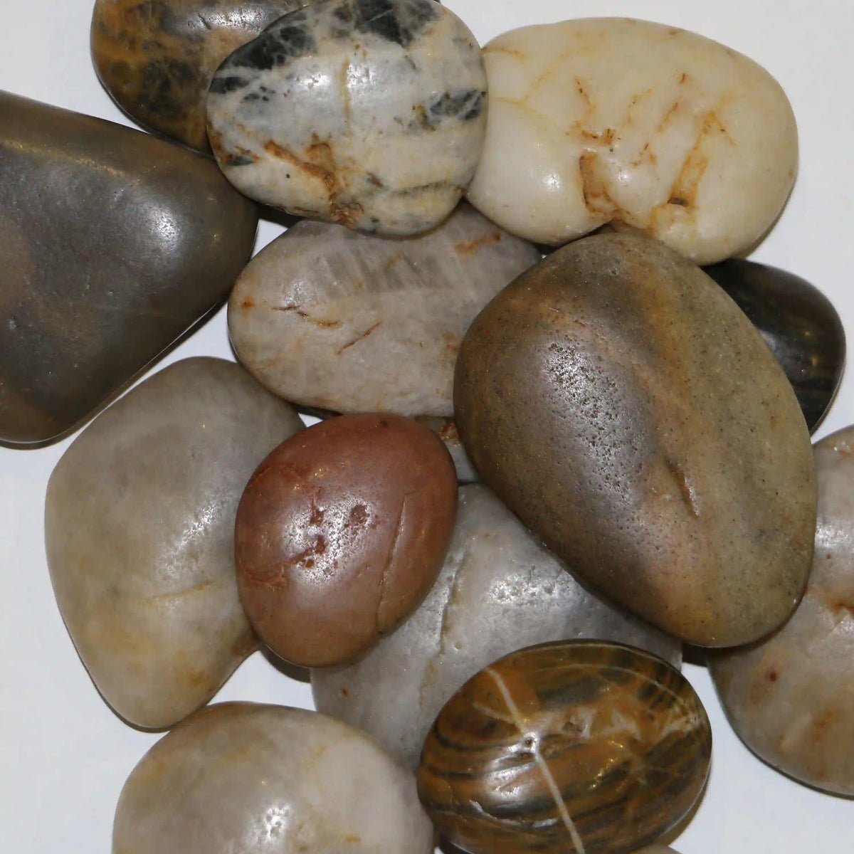 Decorative river stones assortment with smooth oval shapes in mixed tan and gray