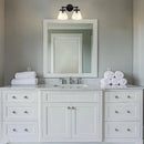 Parrot Uncle Gleam Modern Farmhouse 2-Light Vanity Light