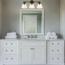 Parrot Uncle Gleam Modern 3-Light Dimmable Vanity Light