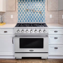 Cosmo 4-Piece Appliance Package - 36-Inch Gas Range, Under Cabinet Range Hood, Dishwasher and Refrigerator with Water Dispenser in Stainless Steel (COS-4PKG-659)
