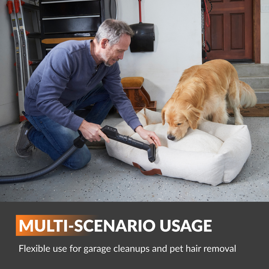 Vacuum cleaner nozzle cleaning a dog on a pet cushion with retractable hose