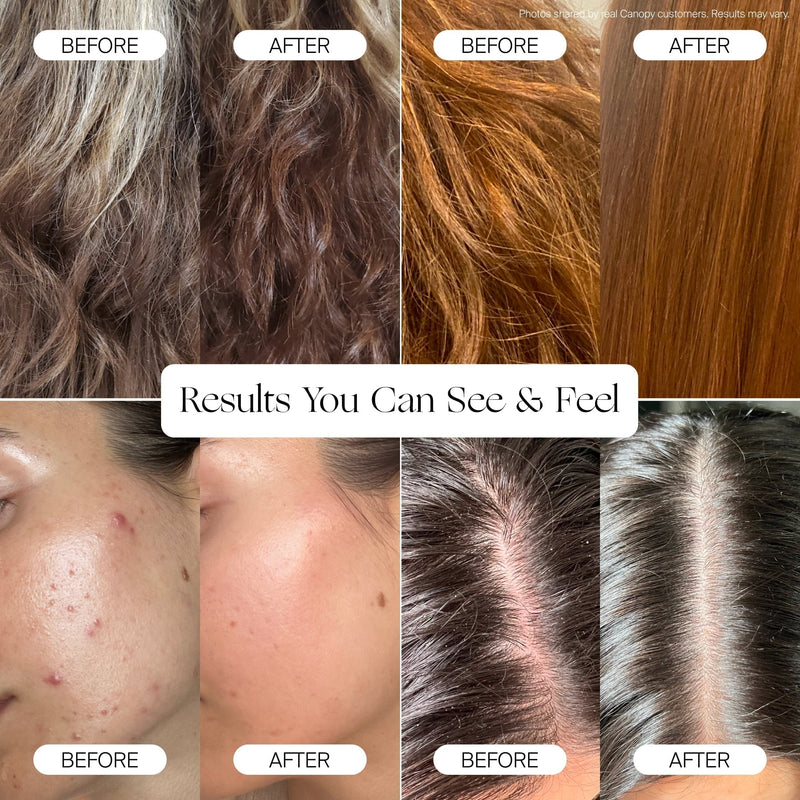 Canopy Handheld Filtered Tool-Free Showerhead with Felt Diffuser