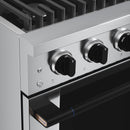 Hauslane HausPro Series 30-Inch Range with 4 Burners and Convection Oven in Stainless Steel