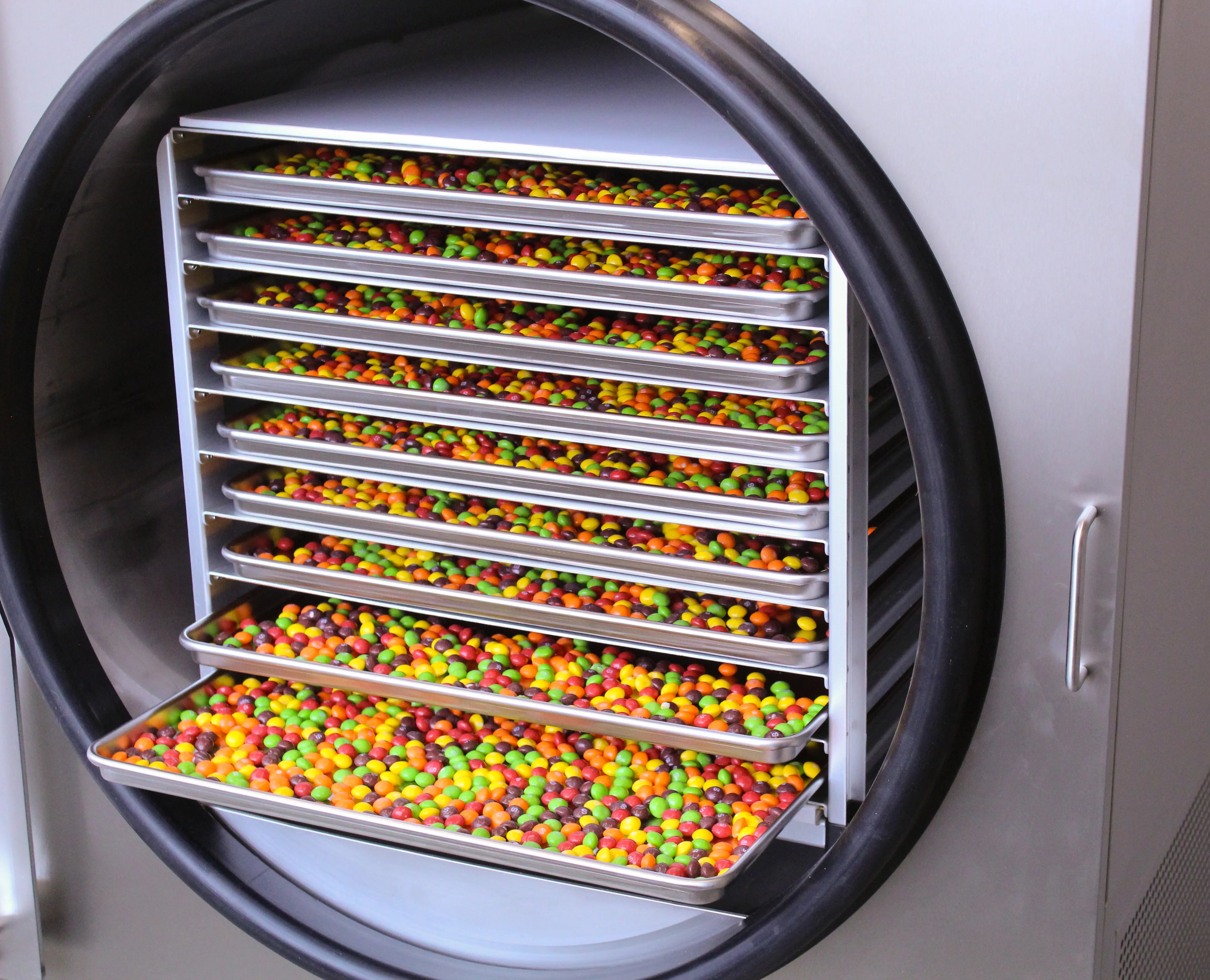 Commercial freeze dryer chamber with stacked trays of colorful produce, open door
