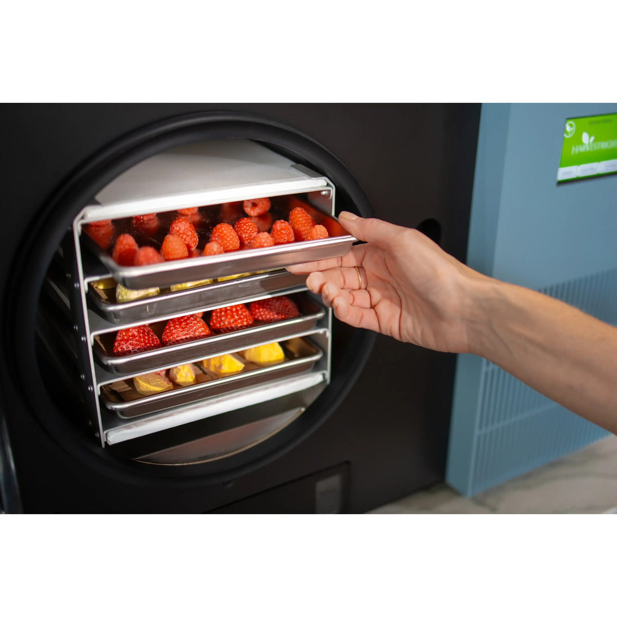 Harvest Right Countertop Pro Freeze Dryer, 4 Tray & Mylar Starter Kit in Pale Blue (HRFDCAZ-PP)
