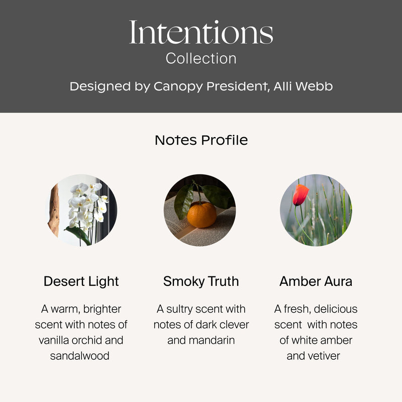 Canopy Intentions Aroma Kit With Pure Essential Oils