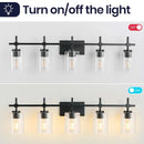 Parrot Uncle Jasper Modern Brushed Nickel & Black Clear Glass 5-Light Bathroom Linear Vanity Light
