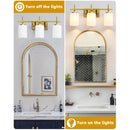 Parrot Uncle Jasper Modern Frosted Glass 3-Light Bathroom Vanity Light
