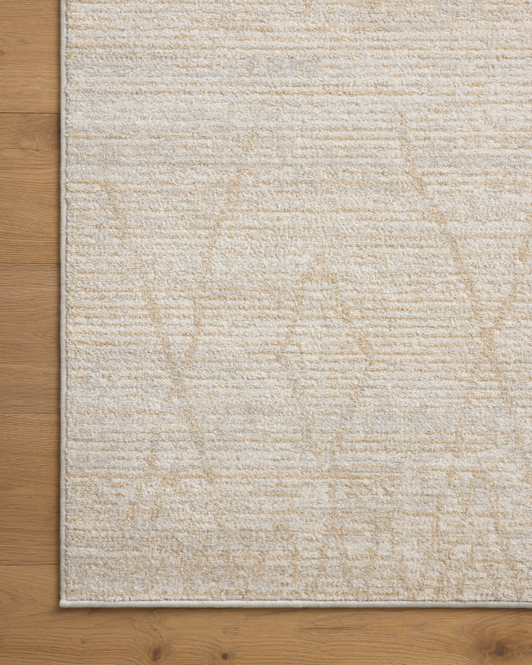 Beige area rug with subtle geometric pattern and narrow border, flat on wood floor