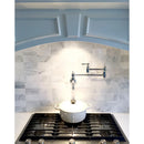 Kingston Brass Restoration Wall Mount Pot Filler Faucet, Polished Chrome (KS3101AL)