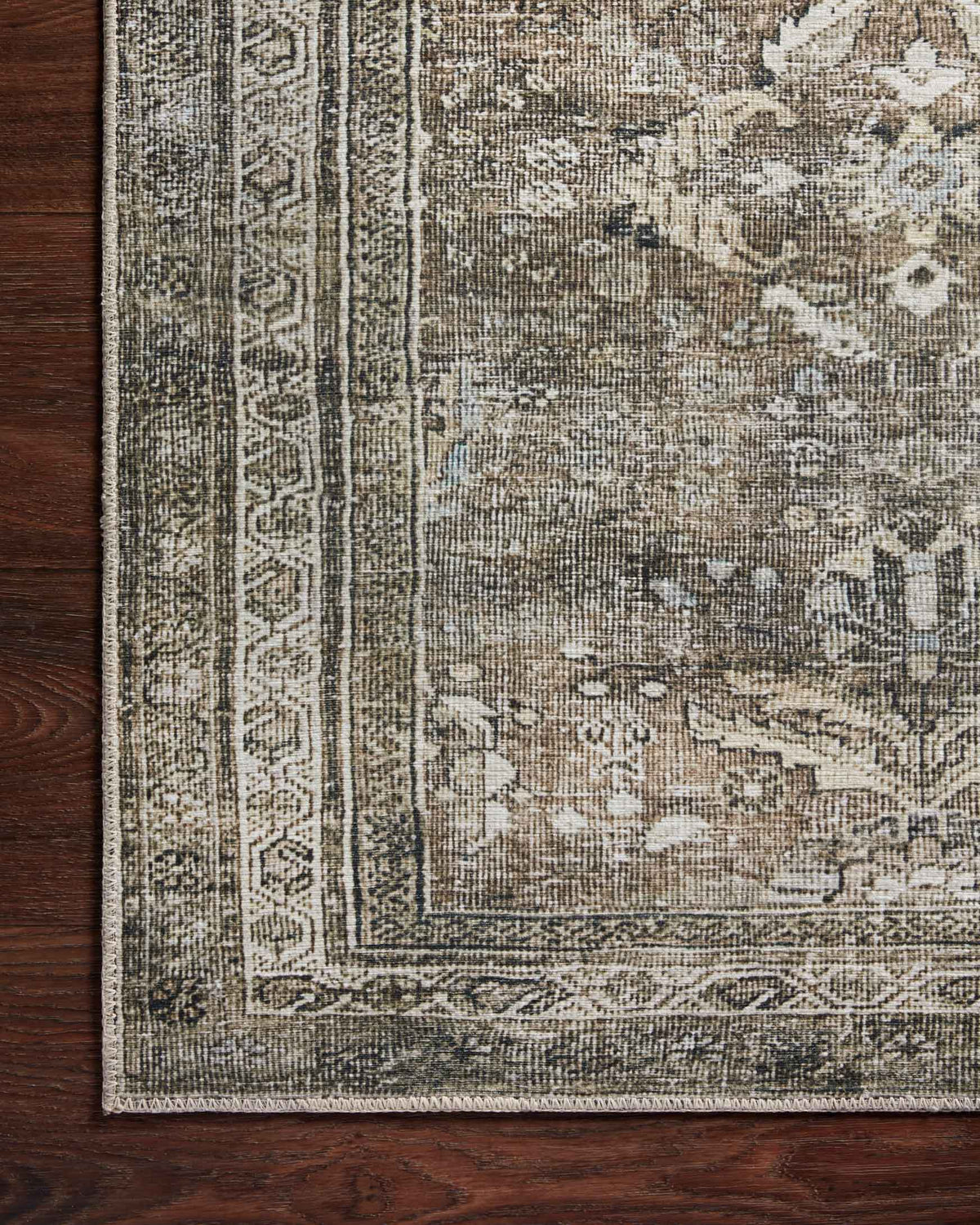 Traditional area rug corner with ornate border stripe, antique gray and moss accents