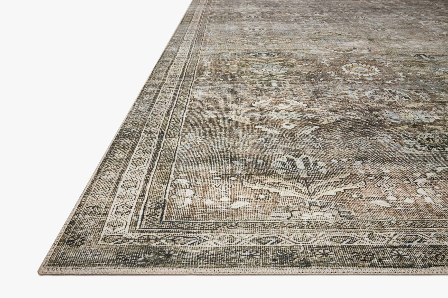 Traditional area rug corner with border stripe detailing, antique gray tones