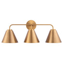 Parrot Uncle Loft Lantern Modern 3-Light Vanity Light