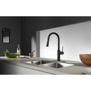Kingston Brass Gourmetier New York Single-Handle Pull-Down Kitchen Faucet, Matte Black (LS2720NYL)