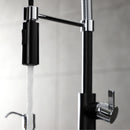 Kingston Brass Gourmetier Continental Single-Handle Deck-Mount Pre-Rinse Kitchen Faucet, Matte Black/Polished Chrome (LS8777CTL)
