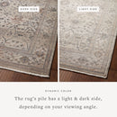 Loloi Area Rug 5' 3" x 7' 9" in Pebble (LYR-04)