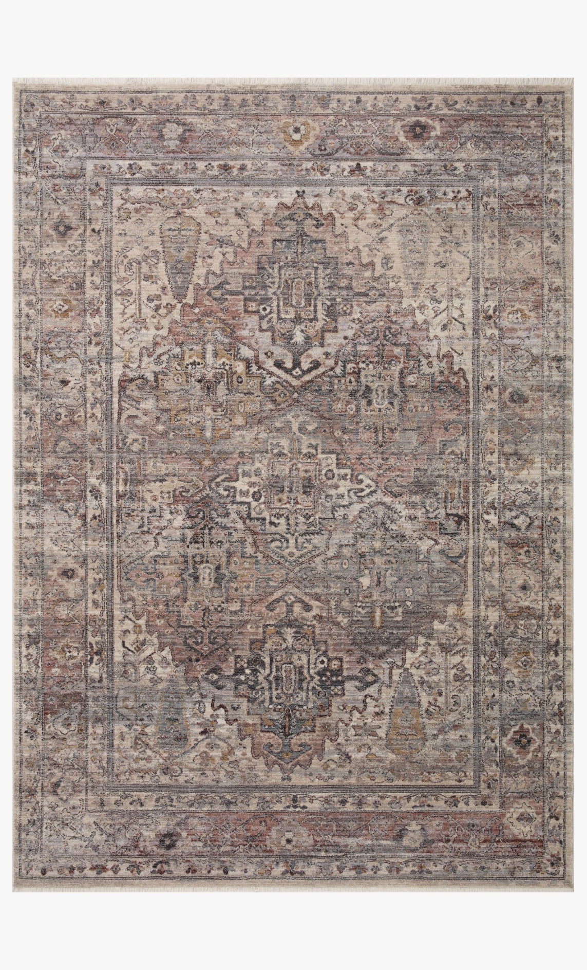 Rectangular accent rug with ornate distressed motif border, gray-silver with rust and taupe.