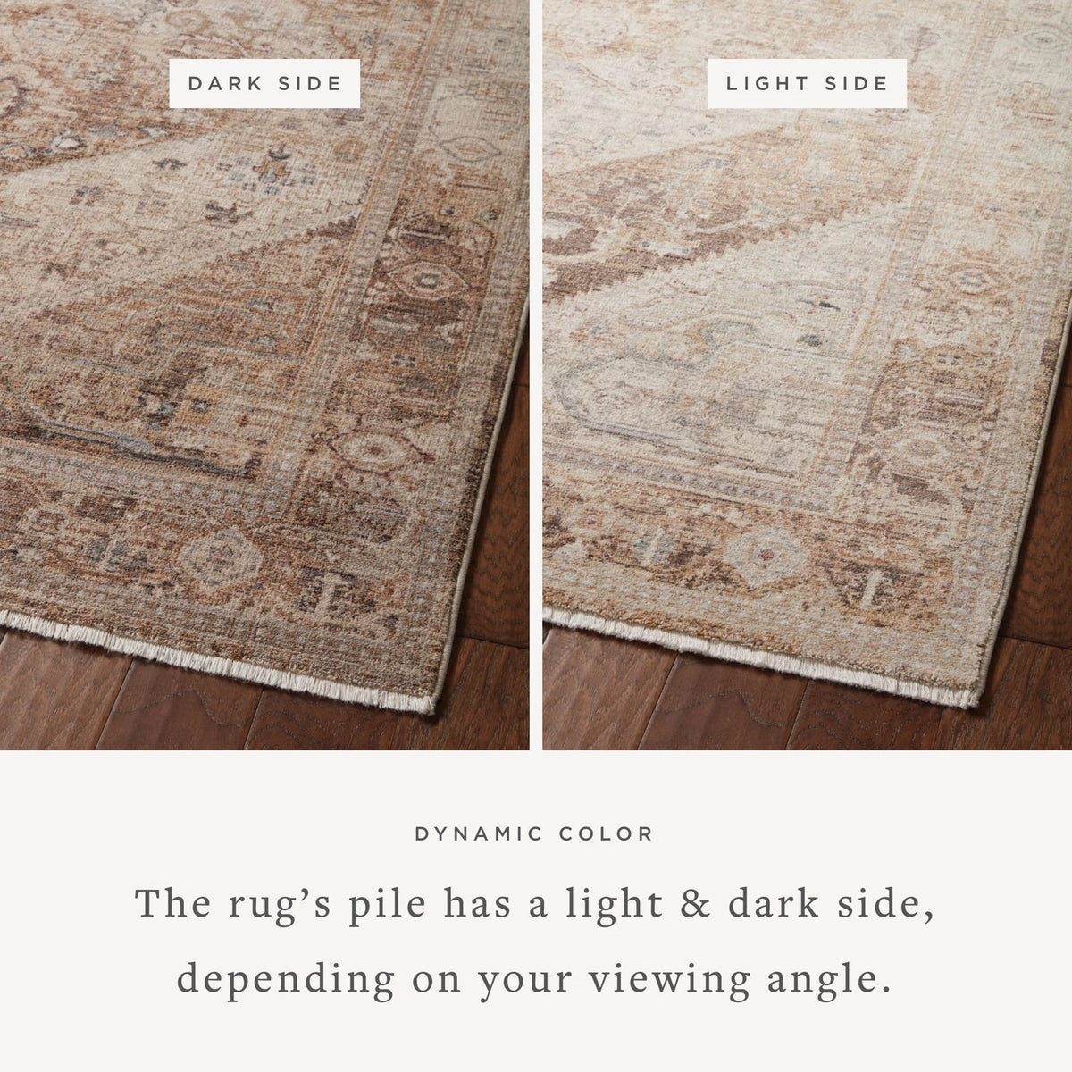 Area rug showing light and dark sides with distressed medallion and short fringe