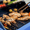 Monument Mesa Propane Gas Grill in Stainless Steel with 2 Burner Stainless Steel (M200S)
