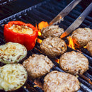 Monument Mesa Propane Gas Grill in Red Powder Coated with 2 Burners (M200R)