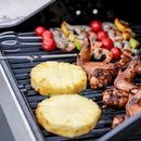 Monument Mesa Propane Gas Grill in Stainless Steel with 2 Burner Stainless Steel (M200S)