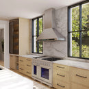 Vezeni 48-Inch Randolph Gas Range in Stainless Steel (VRN4802)