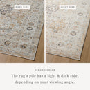 Loloi II Area Rug 6' 7" x 9' 3" in Beige (MON-02)