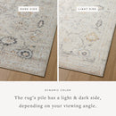 Loloi II Accent Rug 3' 9" x 5' 9" in Natural (MON-04)